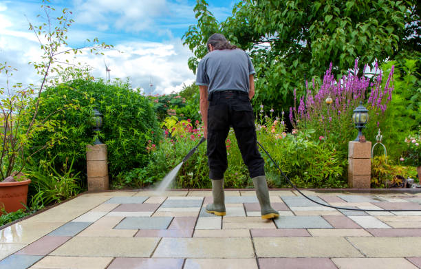 Best Spring Cleaning  in Gunbarrel, CO